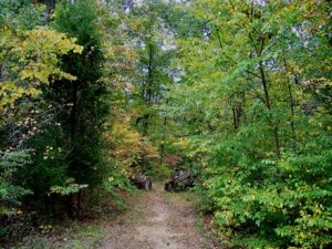 Uhwarrie National Forest