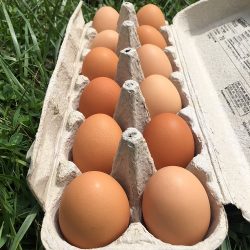 Organic Open-Forage Eggs